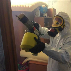 Уничтожение клопов в квартире. Тимашевск